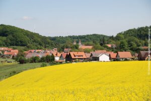 Ortsteil Flechtdorf, überwiegend rote Dächer, im Hintergrund die Klosterkirche . Im Vordergrund ein blühendes Rapsfeld.
