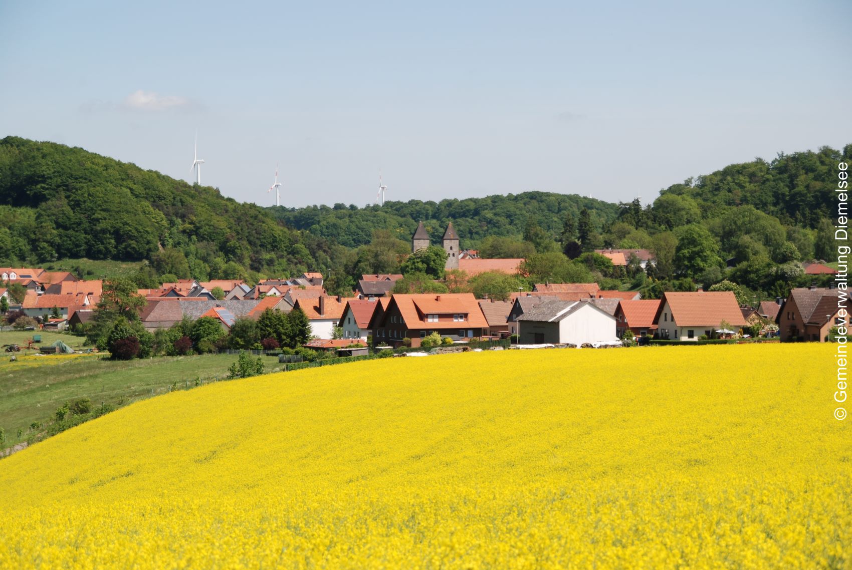 Ortsteil Flechtdorf, überwiegend rote Dächer, im Hintergrund die Klosterkirche . Im Vordergrund ein blühendes Rapsfeld.