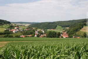 Im Vordergrunt dein Maisfeld, dahinter ein Blick auf den Ort Giebringhausen. Runherum grüne Wiesen und Wälder.