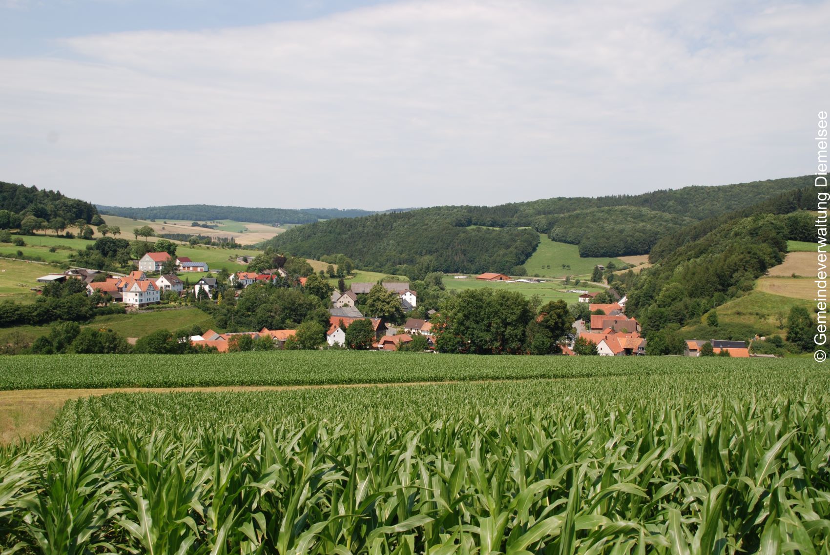 Im Vordergrunt dein Maisfeld, dahinter ein Blick auf den Ort Giebringhausen. Runherum grüne Wiesen und Wälder.