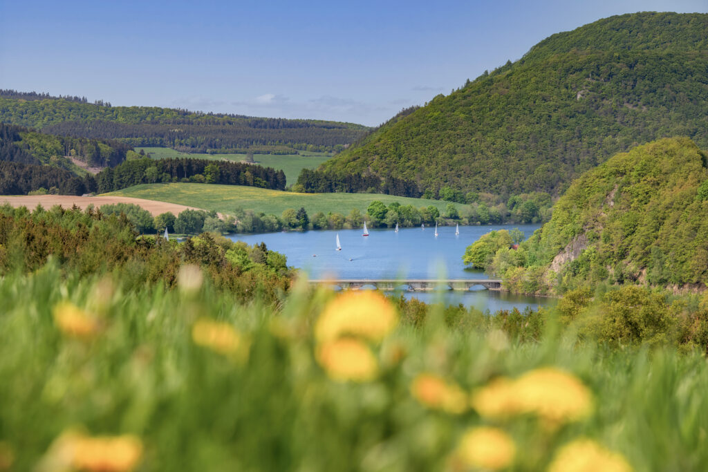 Im Vordergrund Gras mit Blick auf die Stormbrucher Brücke und dem Diemelsee. Auf dem See viele Segelboote. Umgeben von bewaldeten und grünen Hügeln.
