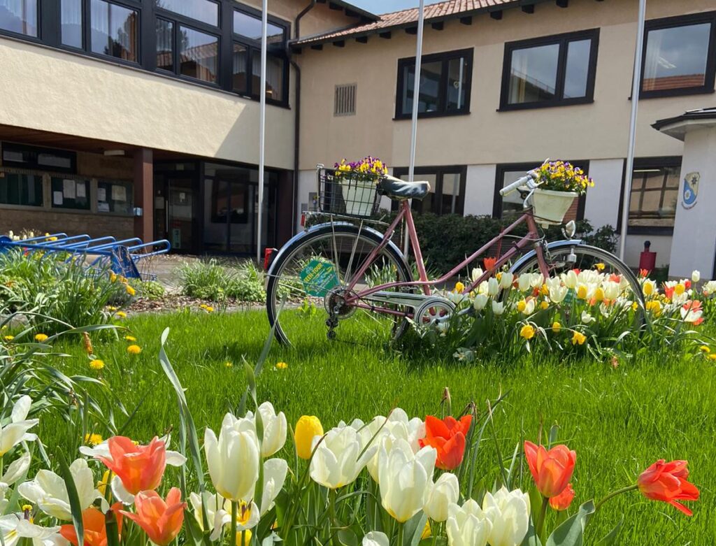Gebäude der Gemeindeverwaltung im Hintergrund, im Vordergrund Blumenwiese mit Tulpen und einem mit Blumen bepflanzten Fahrrad.