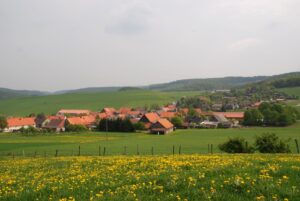 Ortsteil Sudeck von einem Hügel aus fotografiert im Vordergrund eine Wiese mit Löwenzahn, im Hintergrund die Häuser von Sudeck umgeben von grünen Hügeln.